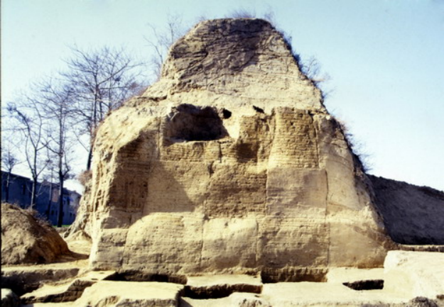 1642148426502008.png 文字文稿138.png