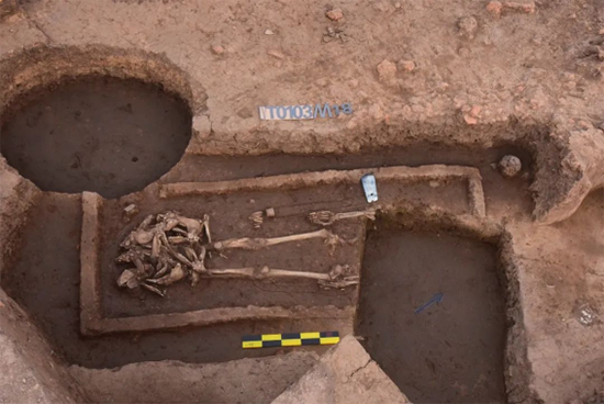 1642299197308580.png 204.5.1黄山节目预告1353300.png