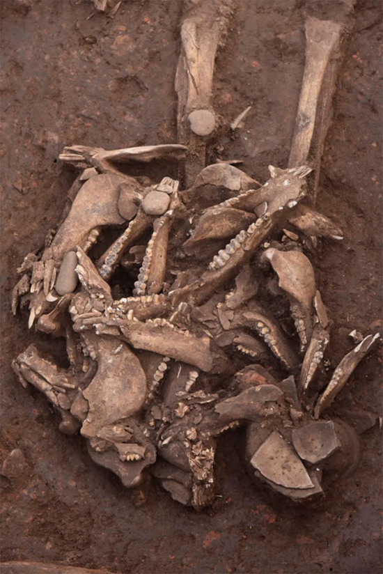 1642299231406779.png 204.5.1黄山节目预告1353870.png