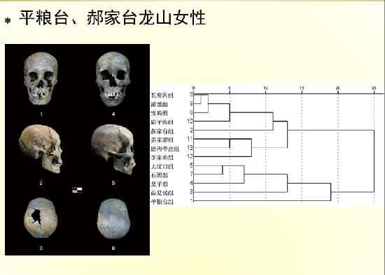 1656930019101004.png 5-3孙蕾.png