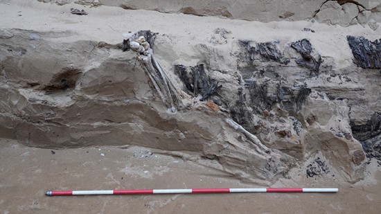 1667271102123681.jpg 6.74 棺椁东北角暴露人骨下肢.JPG