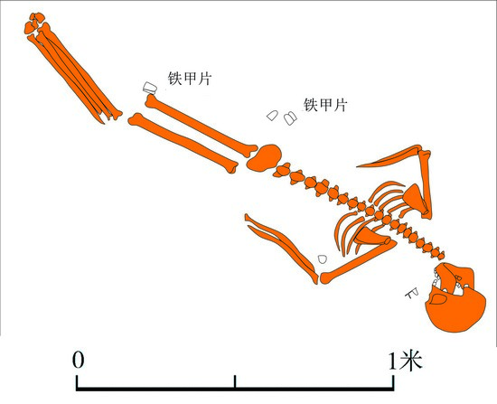 1667271118869801.jpg 6.76 人骨姿态.jpg