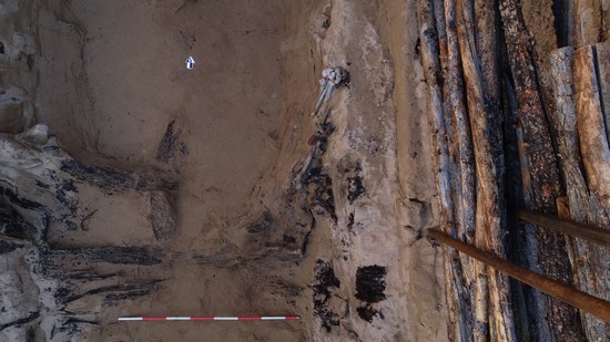 1667271161111637.jpg 6.77 人骨姿态俯视.JPG