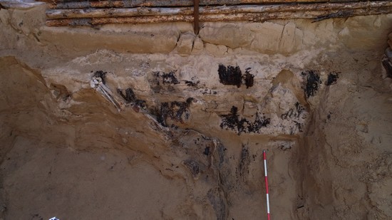 1667271170116327.jpg 6.78 人骨姿势 (西向东俯视).JPG