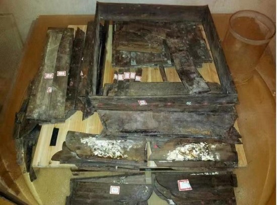 1668156519660882.jpg 5.jpg