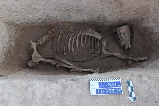 1672989451686313.jpg 图片 35.JPG