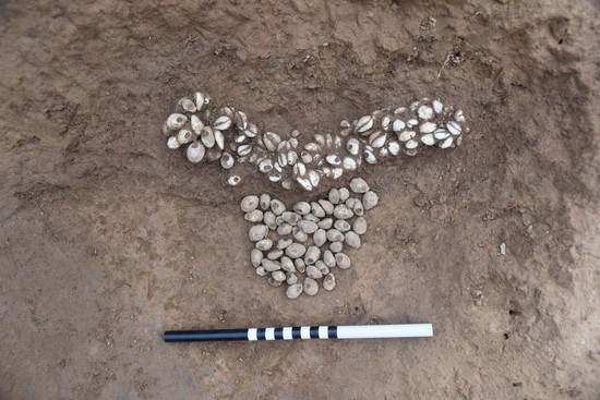 1673062236117777.jpg 图片 3.JPG