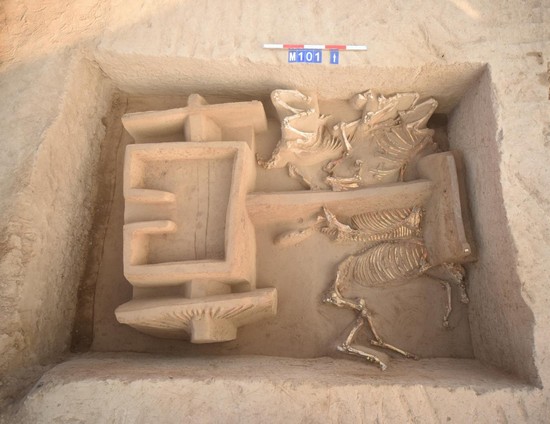 1673062755577142.jpg 图片 8.JPG