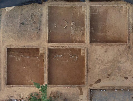 1673063119507172.jpg 图片 29.JPG