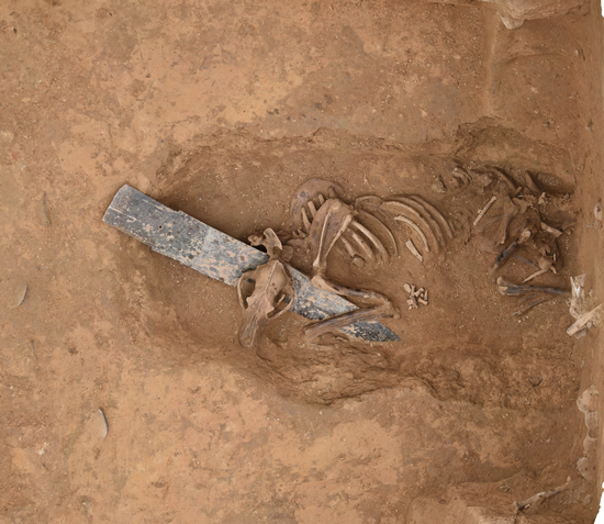 1673067144460224.png 图片 12.PNG