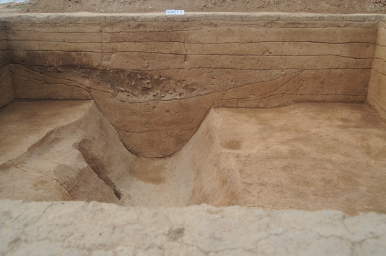 ͼ3 ����������״.PNG