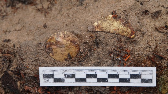 1698027531105204.jpg 微信图片_20231019105848.jpg