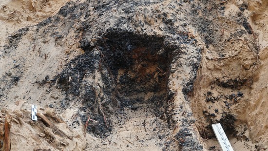 1699341552134078.jpg 6 棺上部木炭.JPG