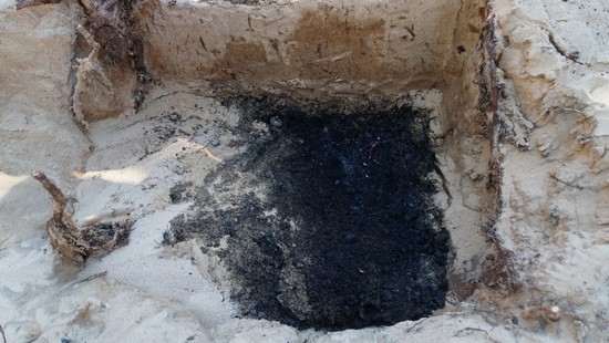 1699341568389824.jpg 8 棺底木炭.JPG