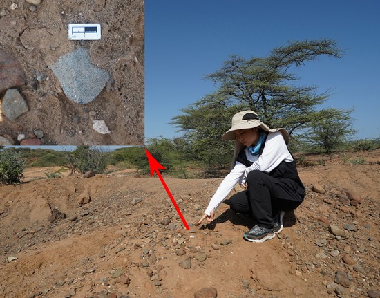 1699581881130502.jpg 图3 地层中的勒瓦娄哇石片.JPG