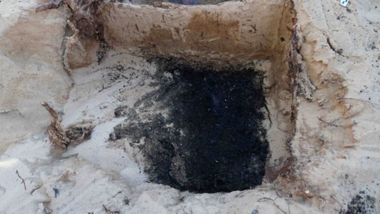 1704442950649306.png 2023年度河南考古工作成果交流会(一) - 副本1272.png