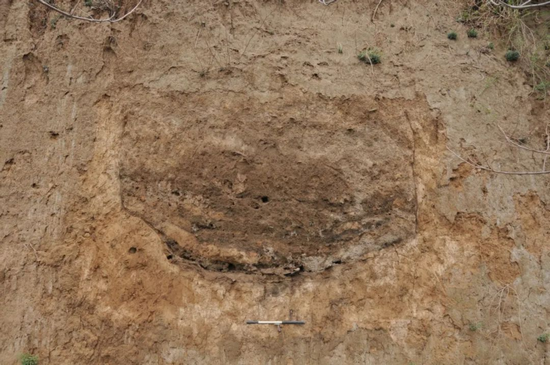 2023��Ⱥ��Ͽ��Ź����ɹ������ᣨ���� - ����581.png