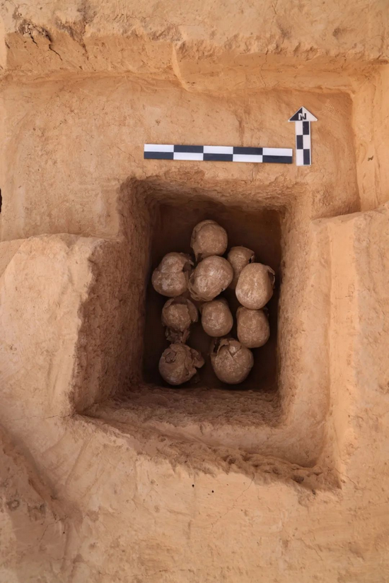 2023��Ⱥ��Ͽ��Ź����ɹ������ᣨ���� - ����7133.png