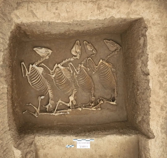 23.12.21  2023��Ⱥ��Ͽ��Ź����ɹ������ᣨ���� - ����1207.png