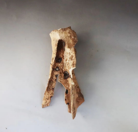 23.12.21  2023��Ⱥ��Ͽ��Ź����ɹ������ᣨ���� - ����1219.png