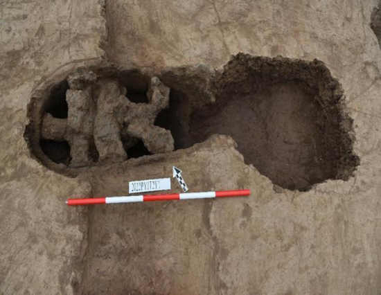 23.12.21  2023��Ⱥ��Ͽ��Ź����ɹ������ᣨ���� - ����3996.png