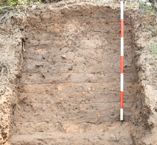 1704857662115854.png 2023年度河南考古工作成果交流会(四) - 副本1617.png