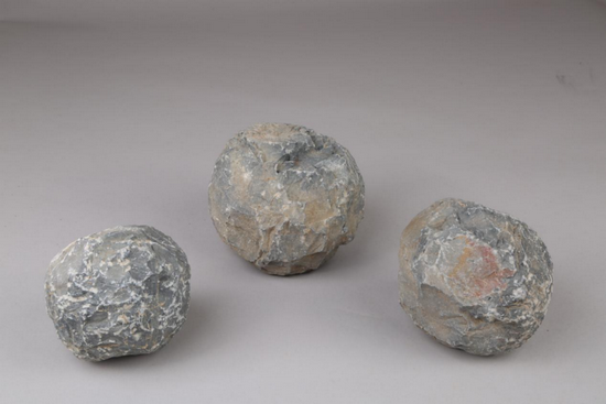 1704857705117184.png 2023年度河南考古工作成果交流会(四) - 副本2120.png