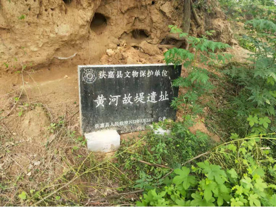 1704858350953584.png 2023年度河南考古工作成果交流会(四) - 副本5891.png