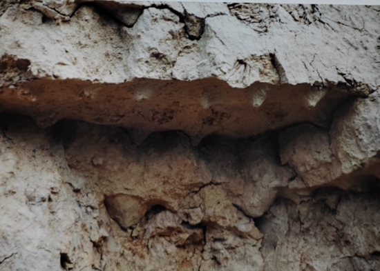 1704858360467454.png 2023年度河南考古工作成果交流会(四) - 副本5900.png