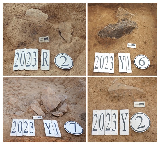 1706851199538671.jpg 图4 第3地点地层中出土的石制品和动物化石.JPG