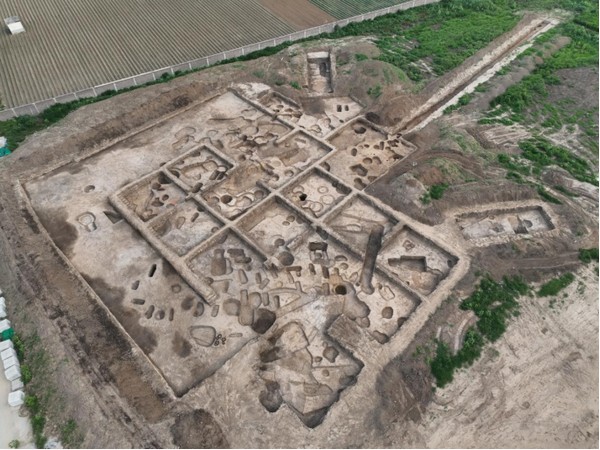 2023����ʮ�����Ÿ�(��) - ����10113.jpg