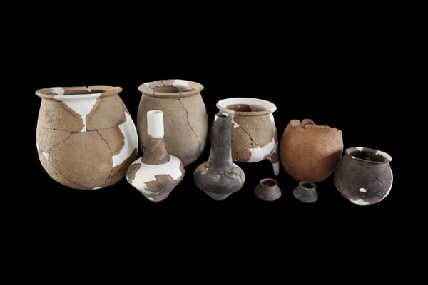 2023����ʮ�����Ÿ�(��) - ����10135.jpg