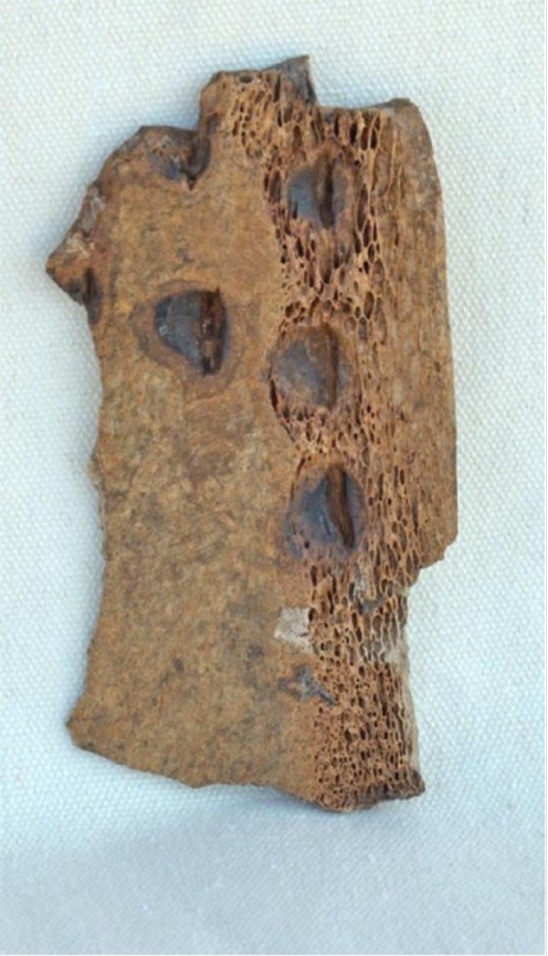 2023����ʮ�����Ÿ�(��) - ����10845.jpg