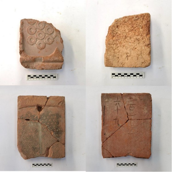 2023����ʮ�����Ÿ�(��) - ����12814.jpg