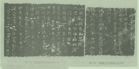 1724400116217439.jpg 7.jpg