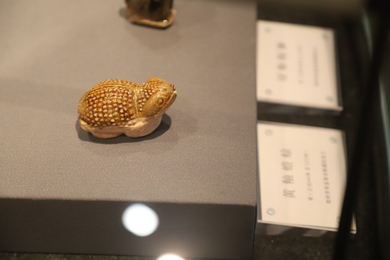 1724400139912704.jpg 10.JPG