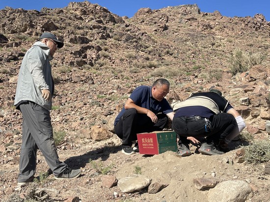 1724828892641087.jpg 必加-工作照1.jpg