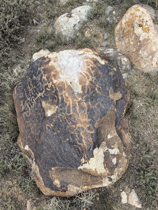 1724829010669058.jpg 岩画特写2.jpg