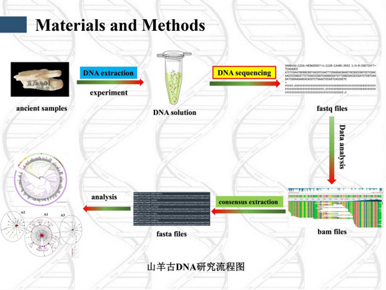 1730169479686701.png 罗亚豪 会议纪要(四) 2(1) - 22222222222221096.PNG