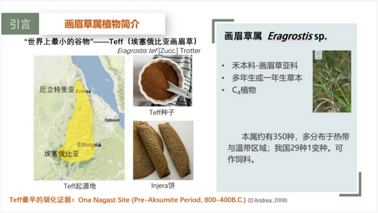 �½� DOC �ĵ� - ����7309.PNG