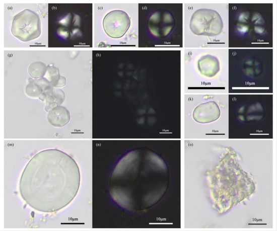 �½� DOC �ĵ� - ����1503.PNG