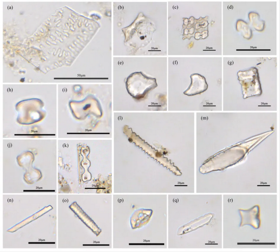 �½� DOC �ĵ� - ����1531.PNG