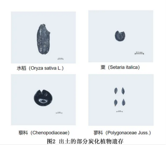 �½� DOC �ĵ� - ����4512.PNG