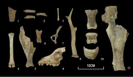 �½� DOC �ĵ� - ����8589.PNG