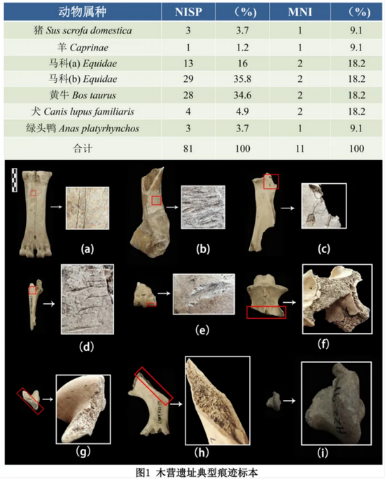 �½� DOC �ĵ� - ����10607.PNG