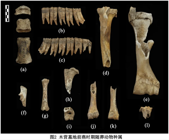 �½� DOC �ĵ� - ����10609.PNG