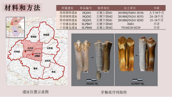 �½� DOC �ĵ� - ����13002.PNG