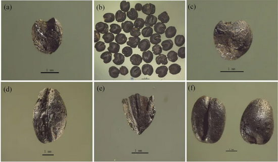 �½� DOC �ĵ� - ����13691.PNG