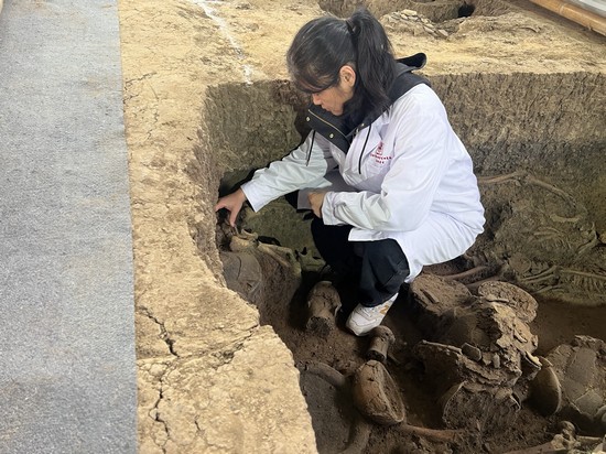 1732240556140688.jpg 微信图片_20241117115525.jpg