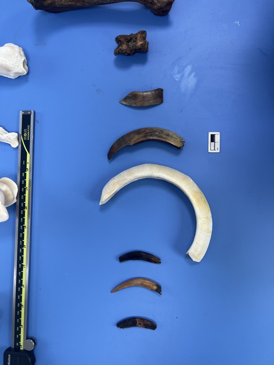 1732240631906507.jpg 微信图片_20241117120009.jpg